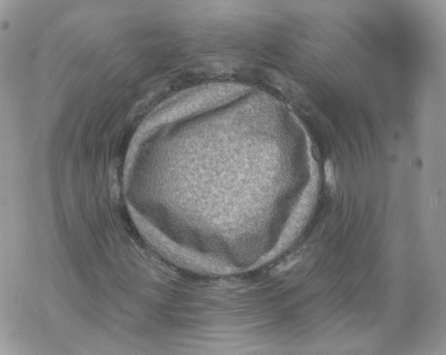 X0000070861203200607071849