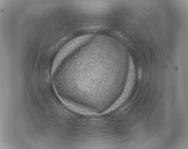 X0000070861204200607071849