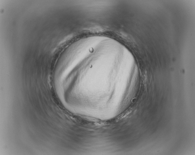 X0000070861205200607071849