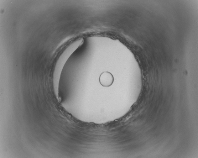 X0000070861206200607071849