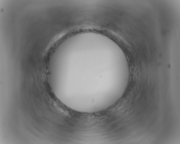 X0000070861207200607071849