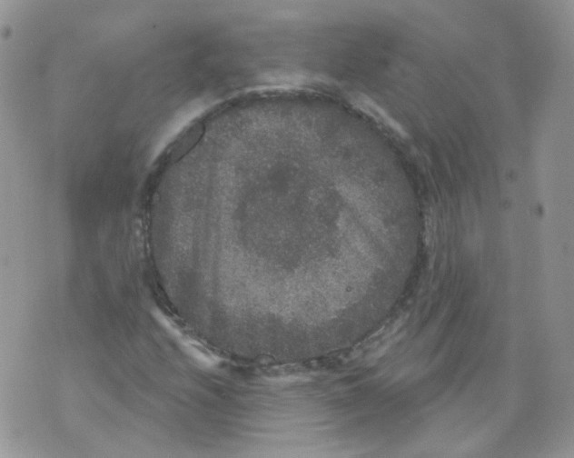 X0000070861208200607071849