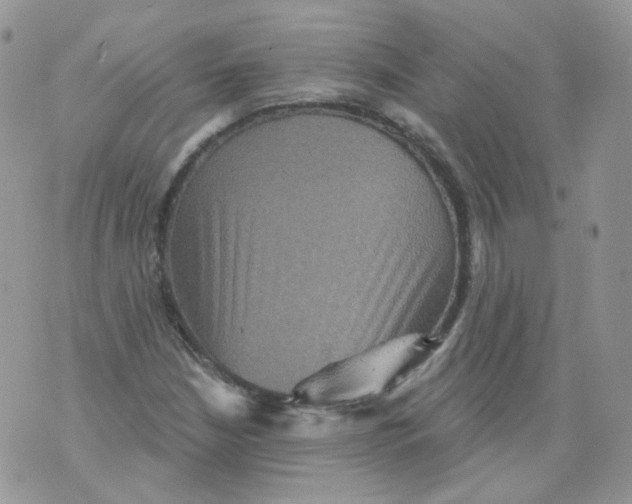 X0000070861210200607071849