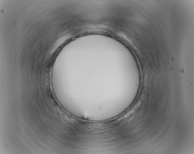 X0000070861211200607071849