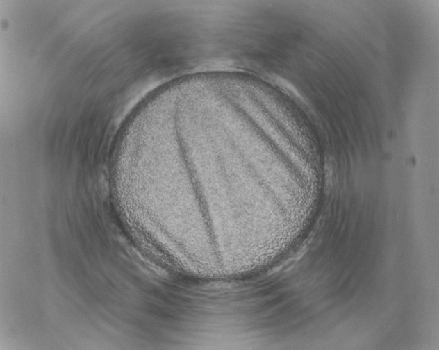 X0000070861212200607071849