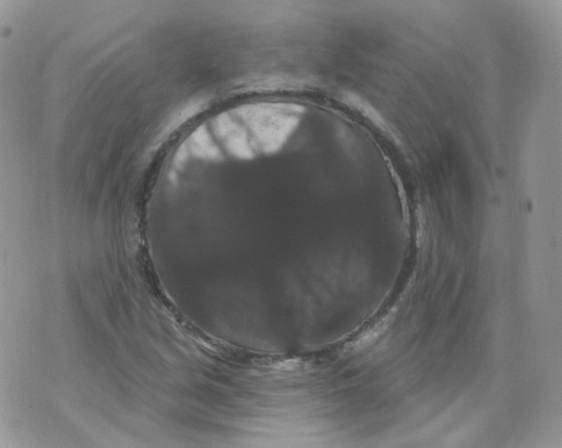 X0000070861213200607071849