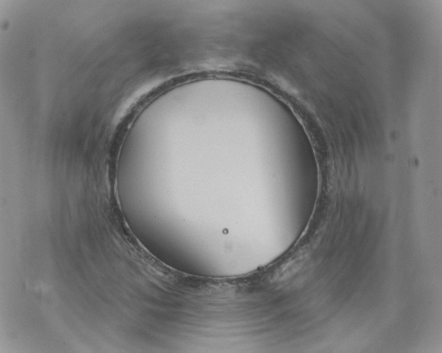 X0000070861214200607071849