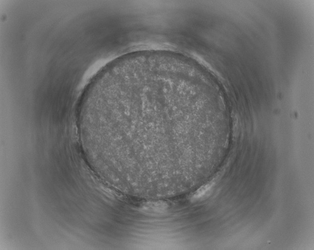 X0000070861215200607071849