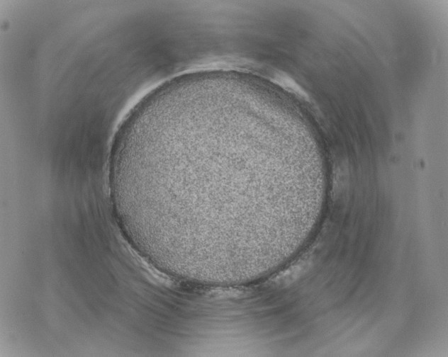 X0000070861216200607071849