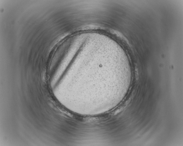 X0000070861217200607071849