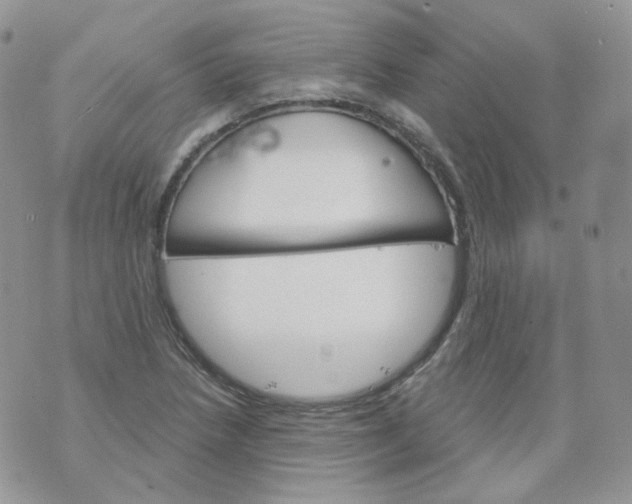 X0000070861218200607071849