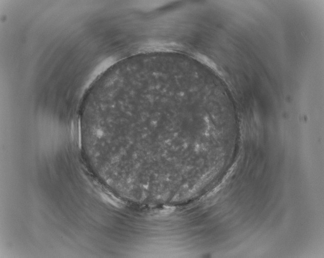 X0000070861219200607071849