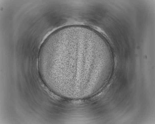 X0000070861220200607071849