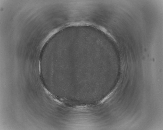 X0000070861221200607071849