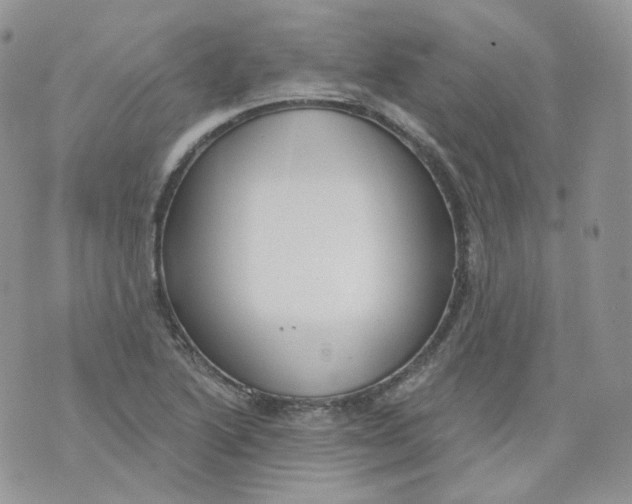 X0000070861222200607071849