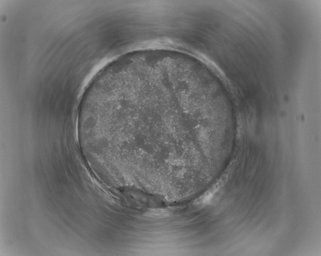 X0000070861224200607071849