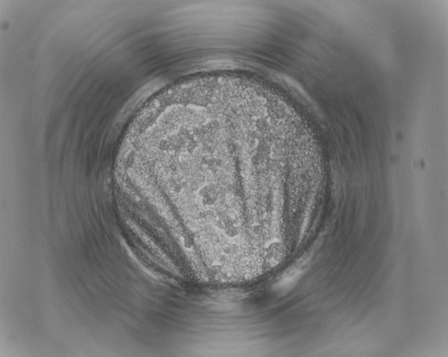 X0000070861225200607071849