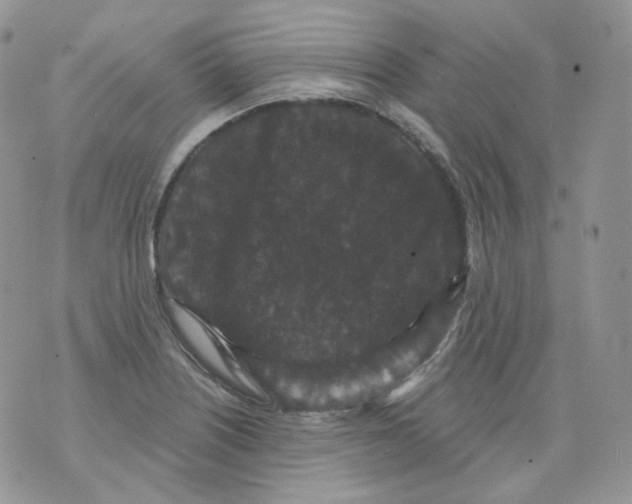 X0000070861226200607071849