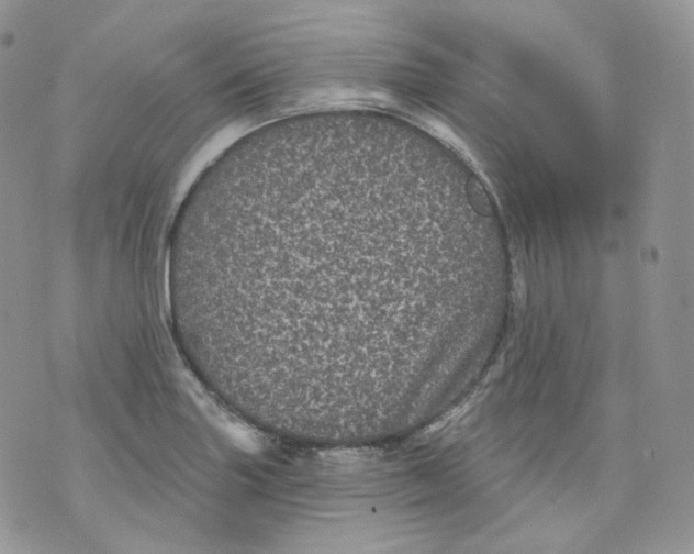 X0000070861227200607071849