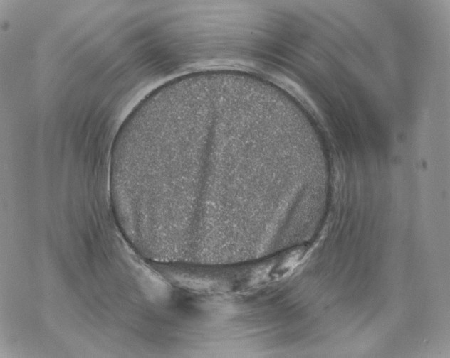 X0000070861228200607071849