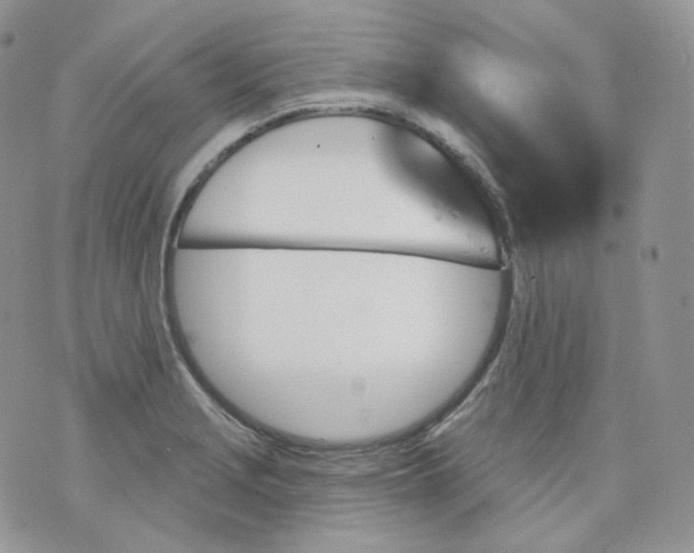 X0000070861229200607071849