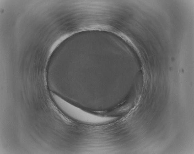 X0000070861230200607071849