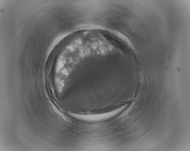 X0000070861231200607071849