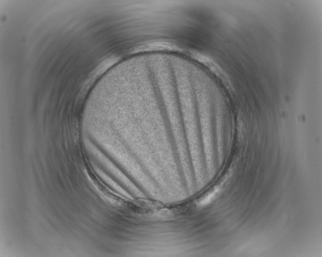 X0000070861233200607071849