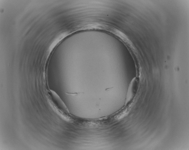 X0000070861234200607071849