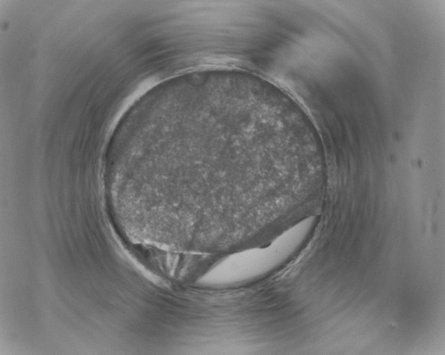 X0000070861235200607071849