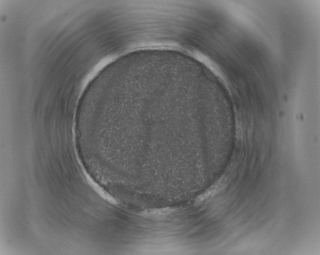 X0000070861237200607071849