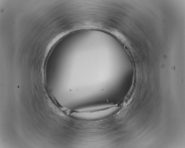 X0000070861238200607071849