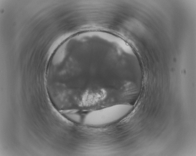 X0000070861239200607071849