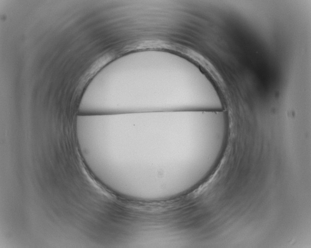 X0000070861241200607071850