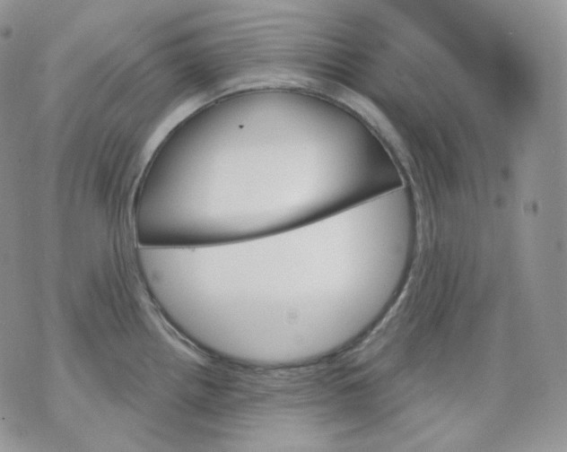 X0000070861242200607071850