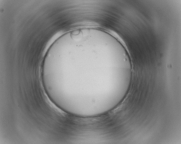 X0000070861243200607071850