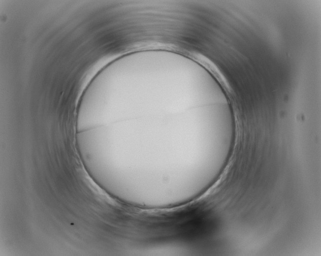 X0000070861244200607071850