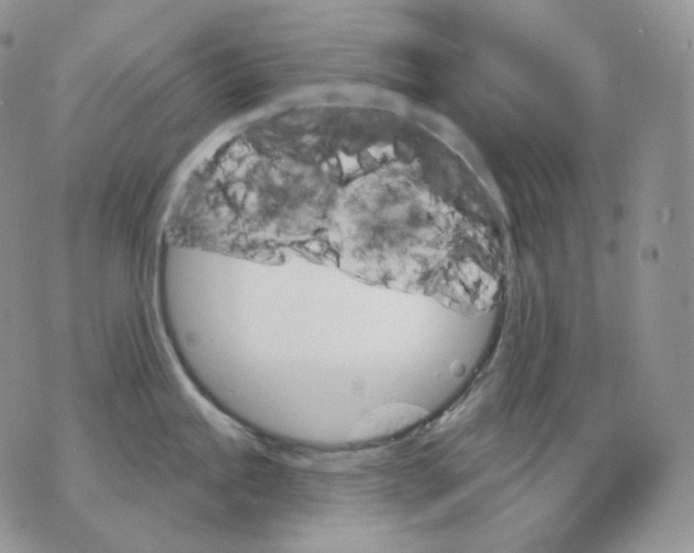 X0000070861245200607071850