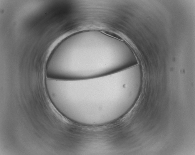 X0000070861246200607071850