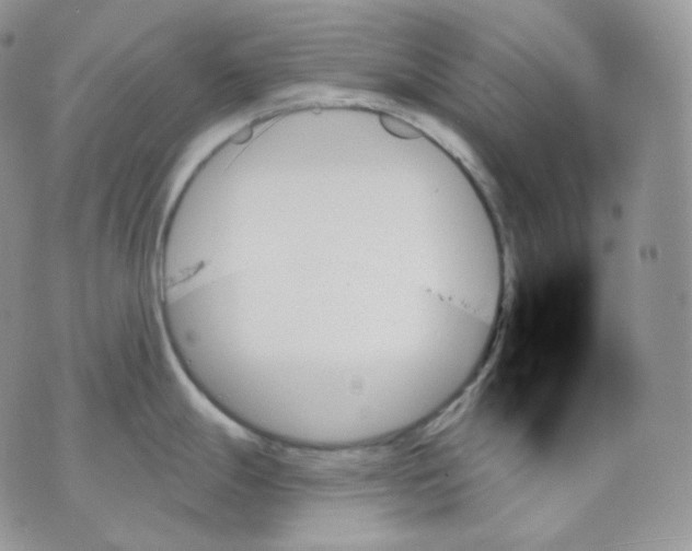 X0000070861247200607071850