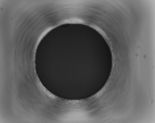 X0000070861248200607071850