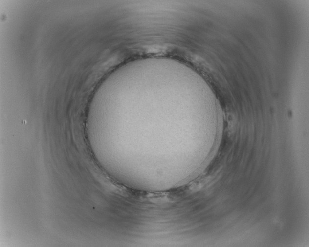 X0000070861249200607071849