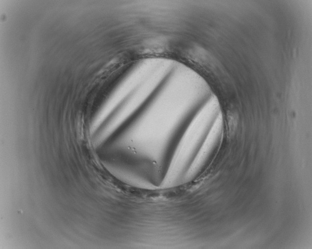 X0000070861250200607071849