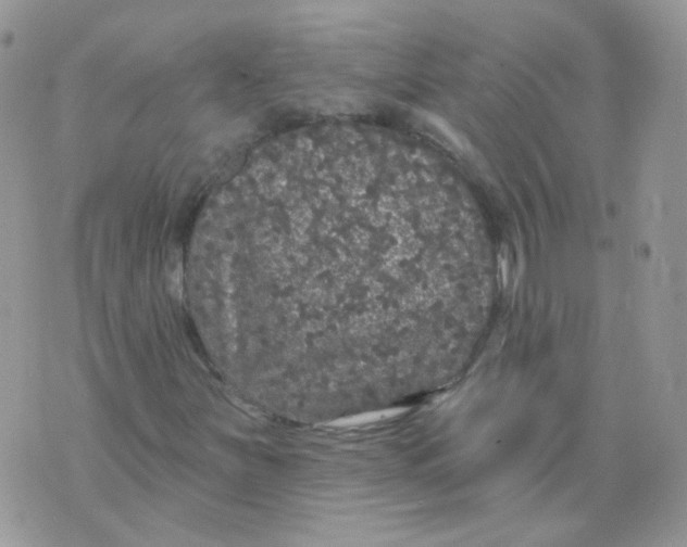 X0000070861251200607071849