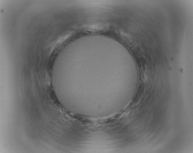 X0000070861253200607071849