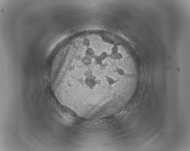 X0000070861255200607071849