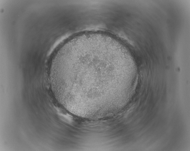 X0000070861256200607071849