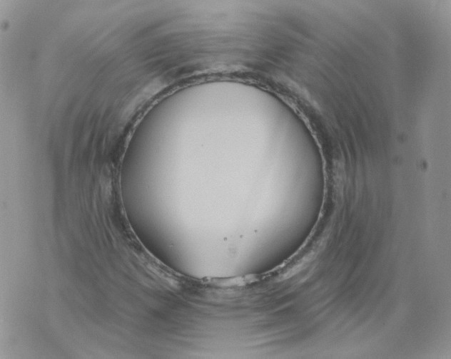 X0000070861257200607071849