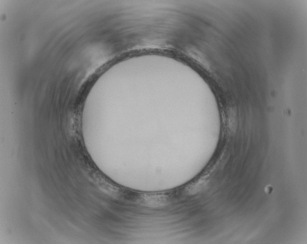 X0000070861258200607071849