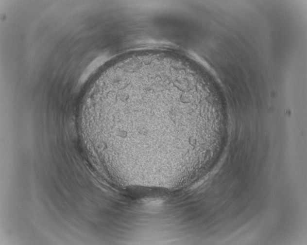 X0000070861259200607071849